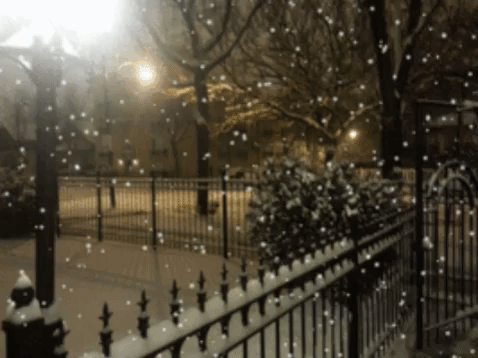video 20 prachtige winterfoto’s