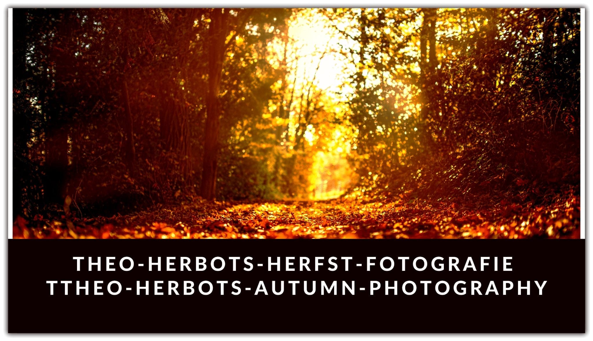 Theo-Herbots-Herfst-Fotografie ||Theo-Herbots-Autumn-Photography