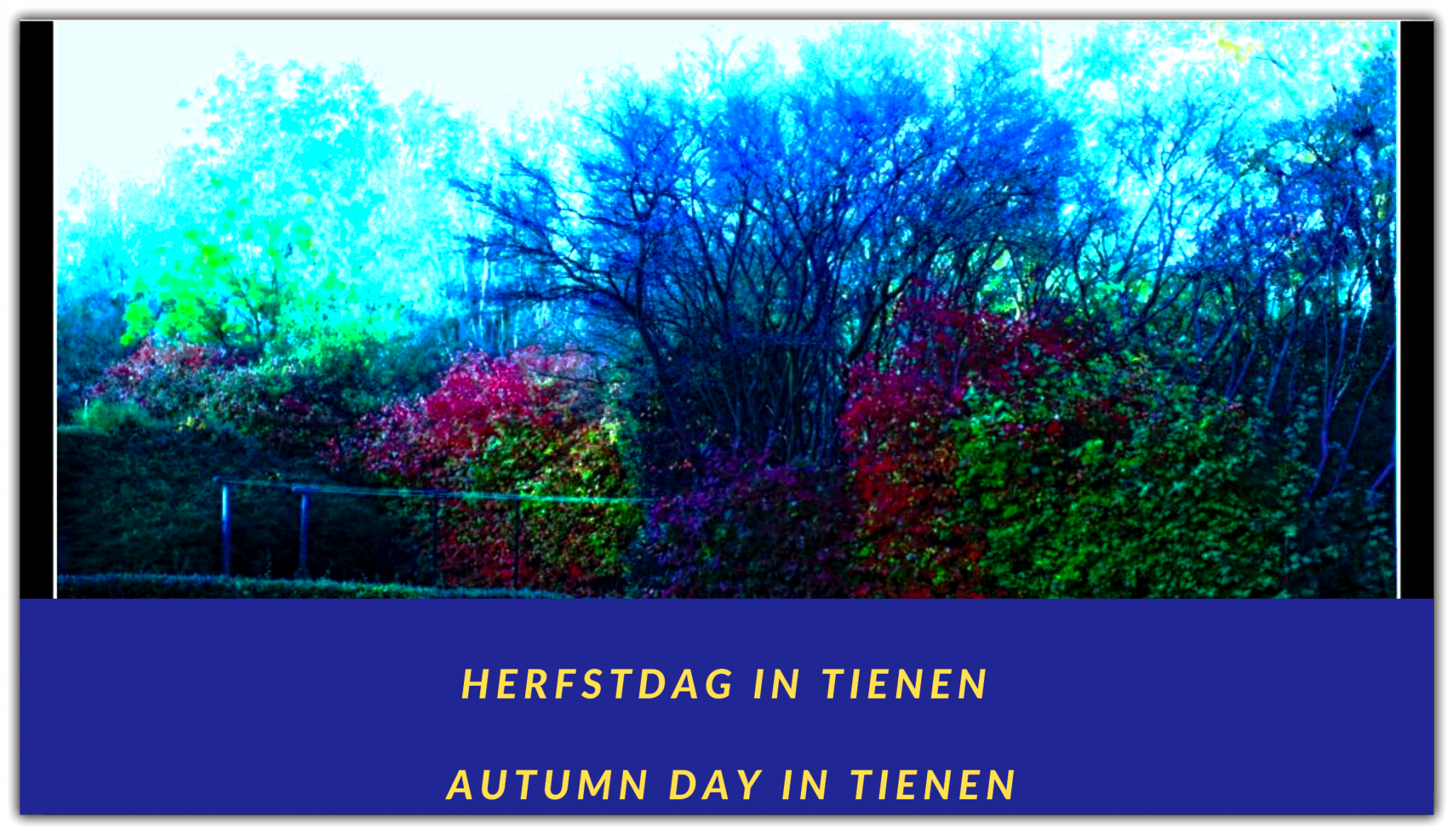 Herfstdag in Tienen ||Autumn day in Tienen