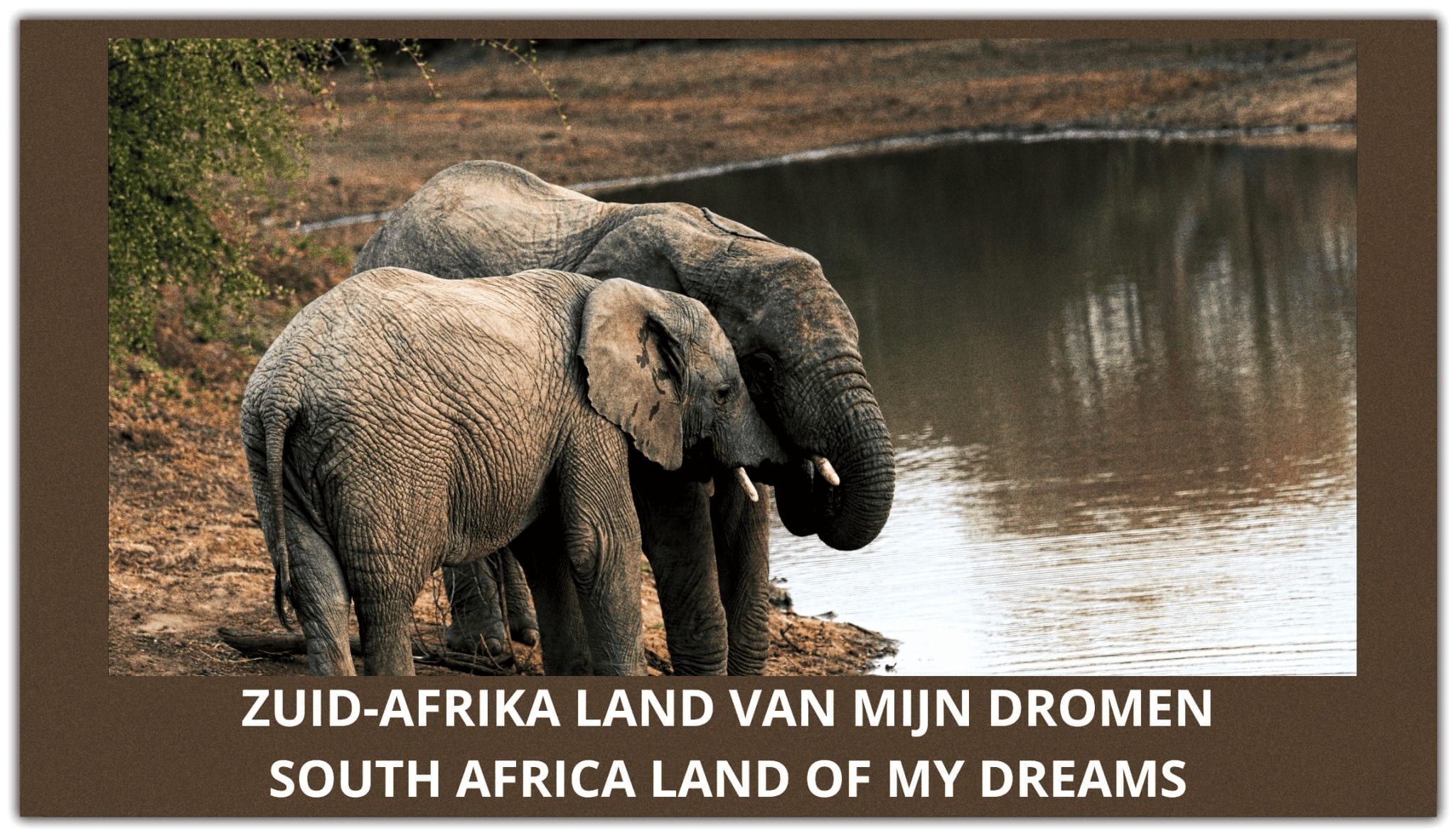 Ik droom van Zuid Afrika |Ek droom van Suid-Afrika |I dream of South Africa❤️❤️❤️