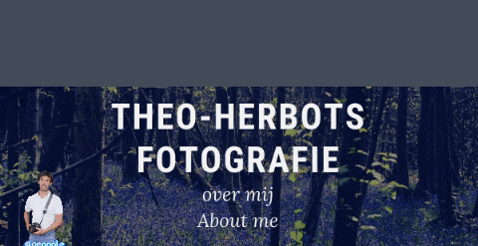 Over Theo-Herbots-Fotografie | About Theo-Herbots-Photography