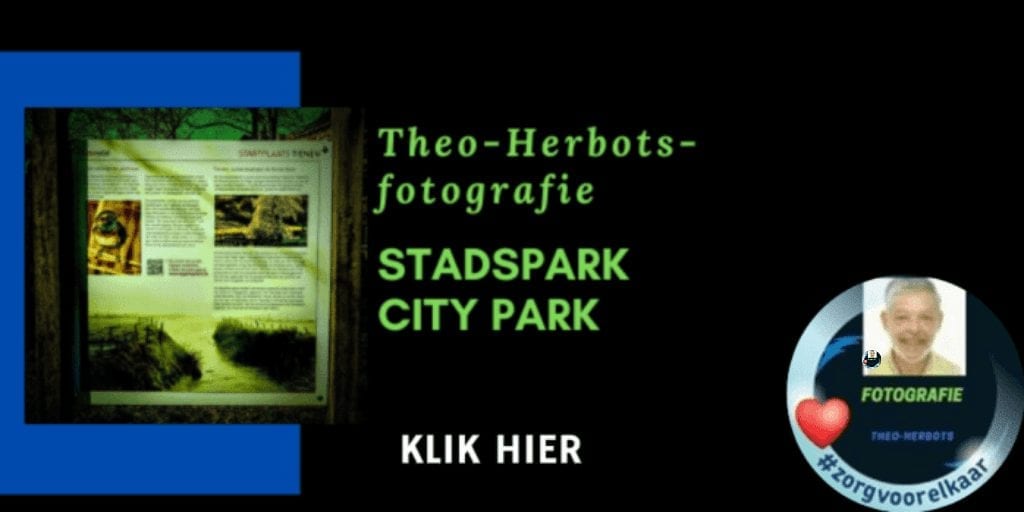 Foto & video-reportage stadspark  Tienen || PHOTO & VIDEO REPORTING TOWN PARK Tienen Belgium