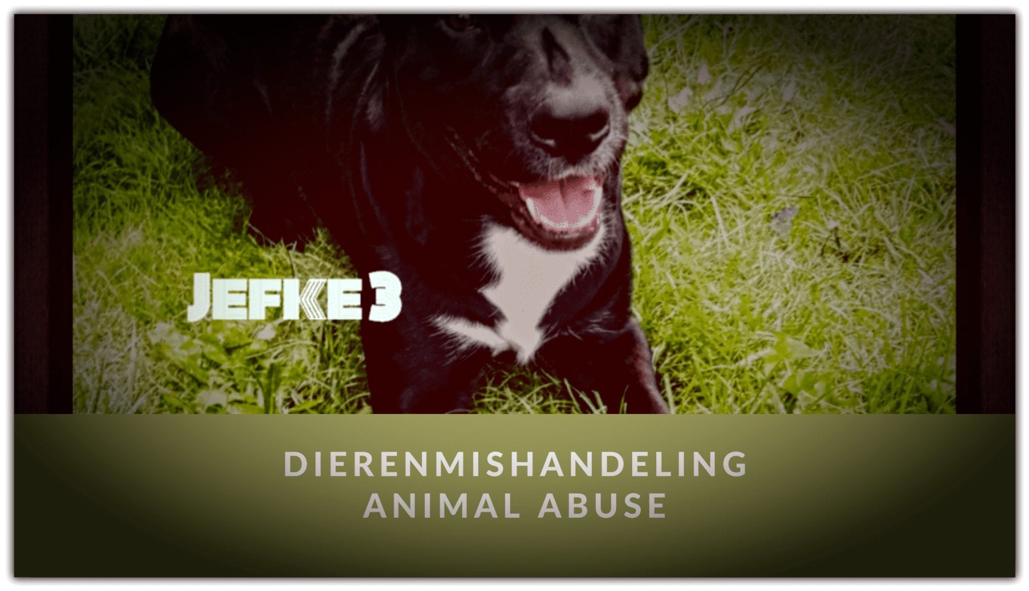 DIERENMISHANDELING || ANIMAL ABUSE