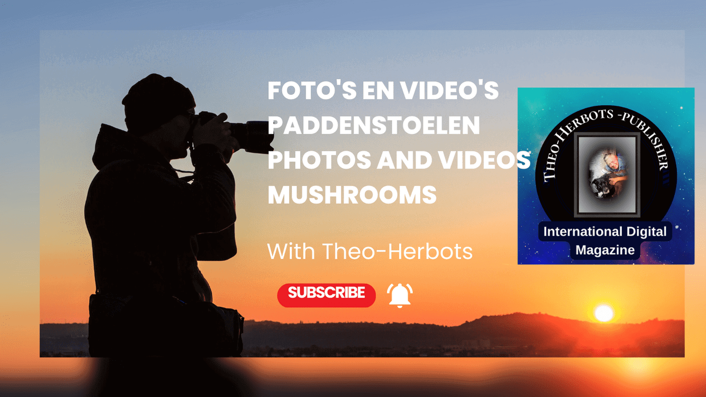 Theo-Herbots Foto’s en video’s Paddenstoelen ||Photos and videos MushroomsTheo-Herbots Foto’s en video’s Paddenstoelen ||