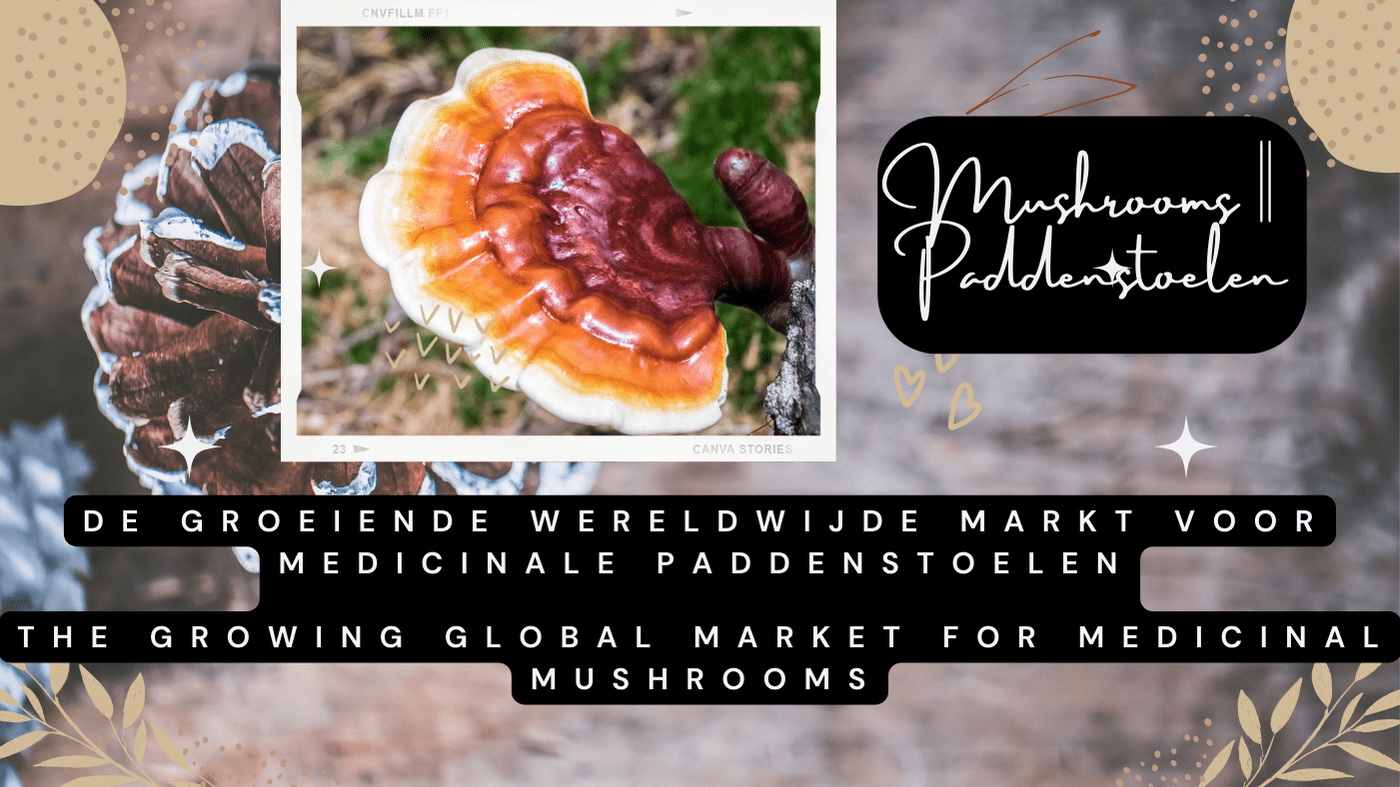 De groeiende wereldwijde markt voor medicinale paddenstoelen