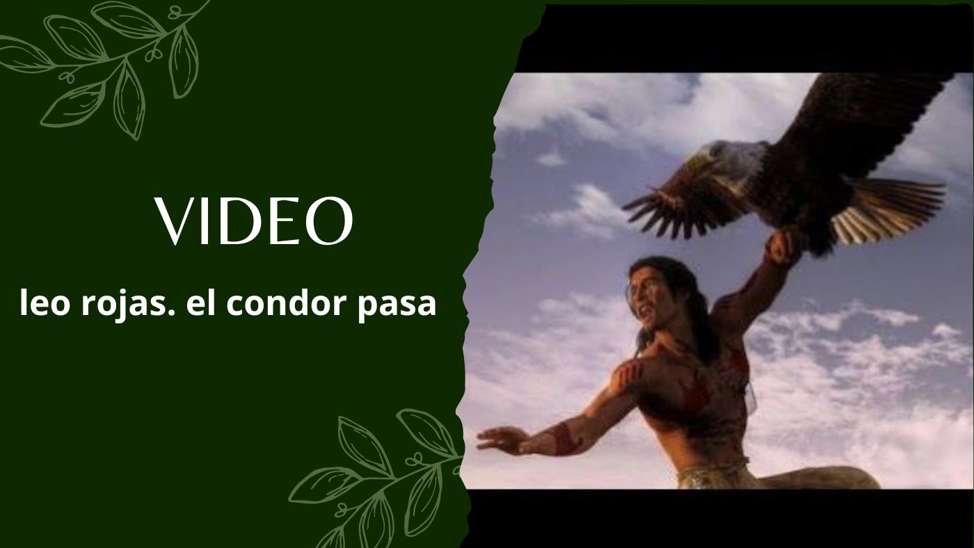 Video’s Leo Rojas