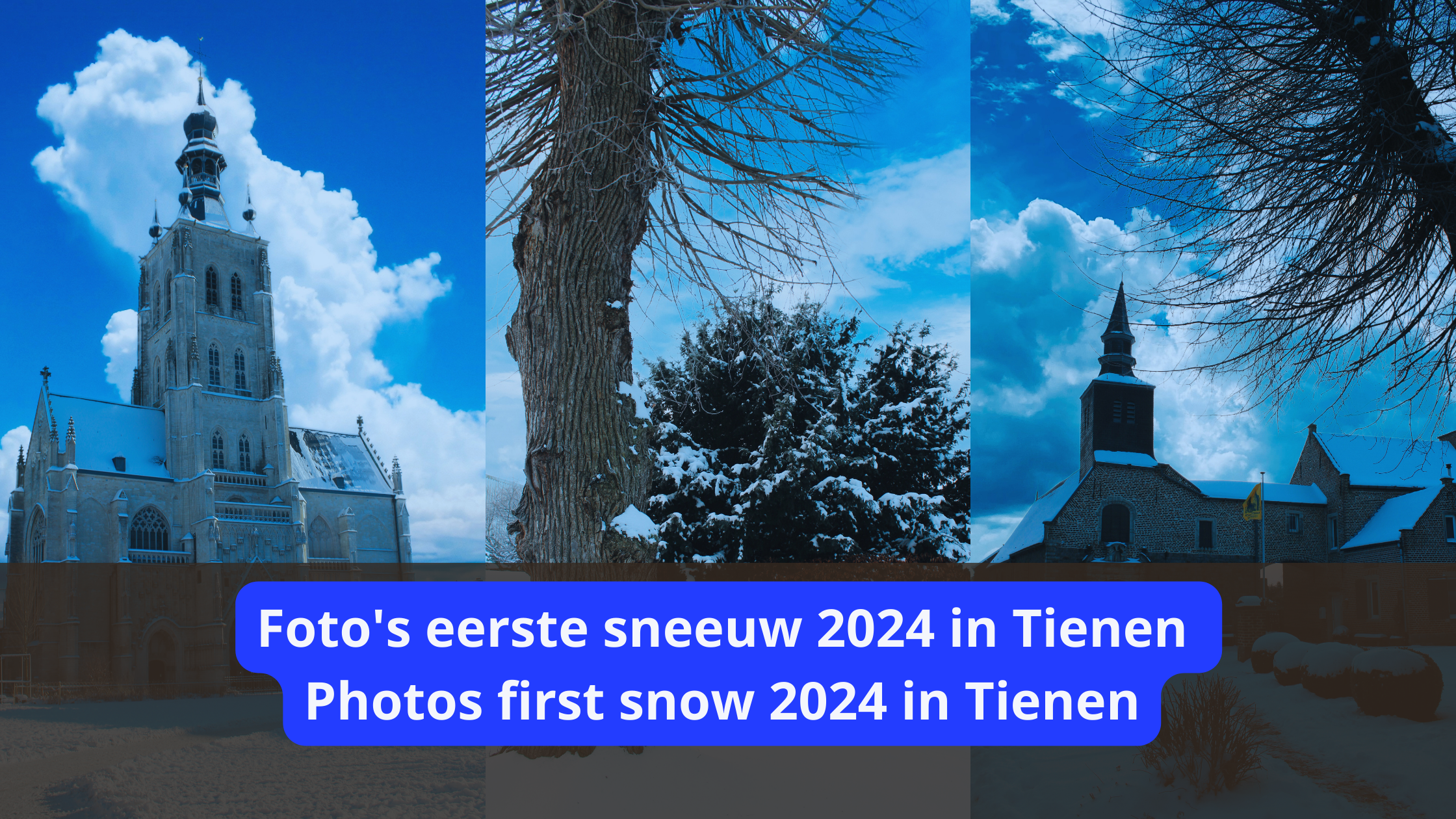 Foto’s eerste sneeuw 2024 in Tienen || Photos first snow 2024 in Tienen