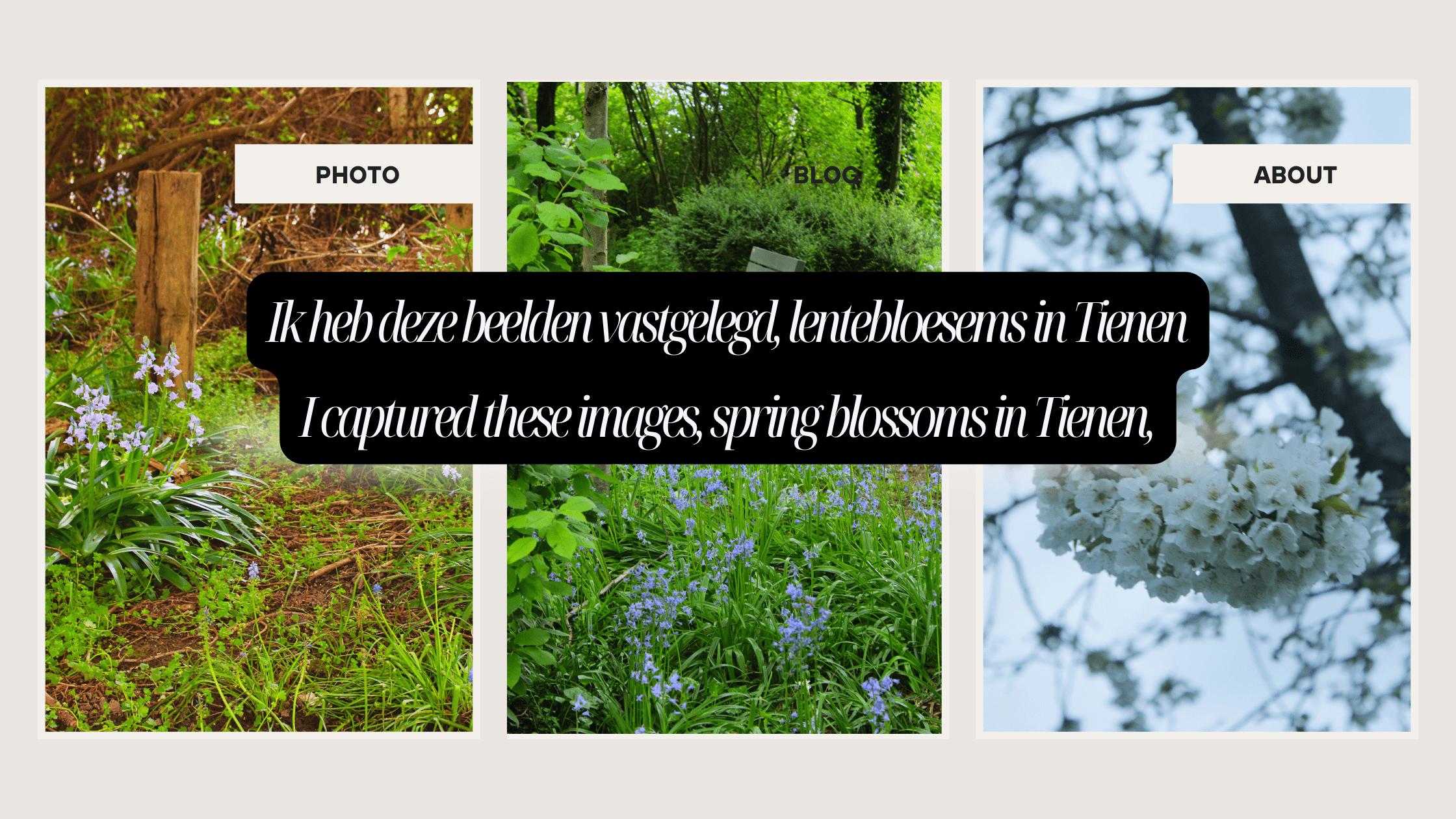 Ik heb deze beelden vastgelegd, lentebloesems in Tienen,||I captured these images, spring blossoms in Tienen,