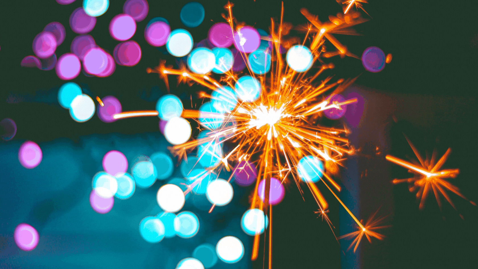 Framevullende Techniek in Fotografie: Tips voor Impactvolle Beelden ||Frame-filling Technique in Photography: Tips for Impactful Images Framevullende Techniek in Fotografie: Tips voor Impactvolle Beelden ||Frame-filling Technique in Photography: Tips for Impactful Images