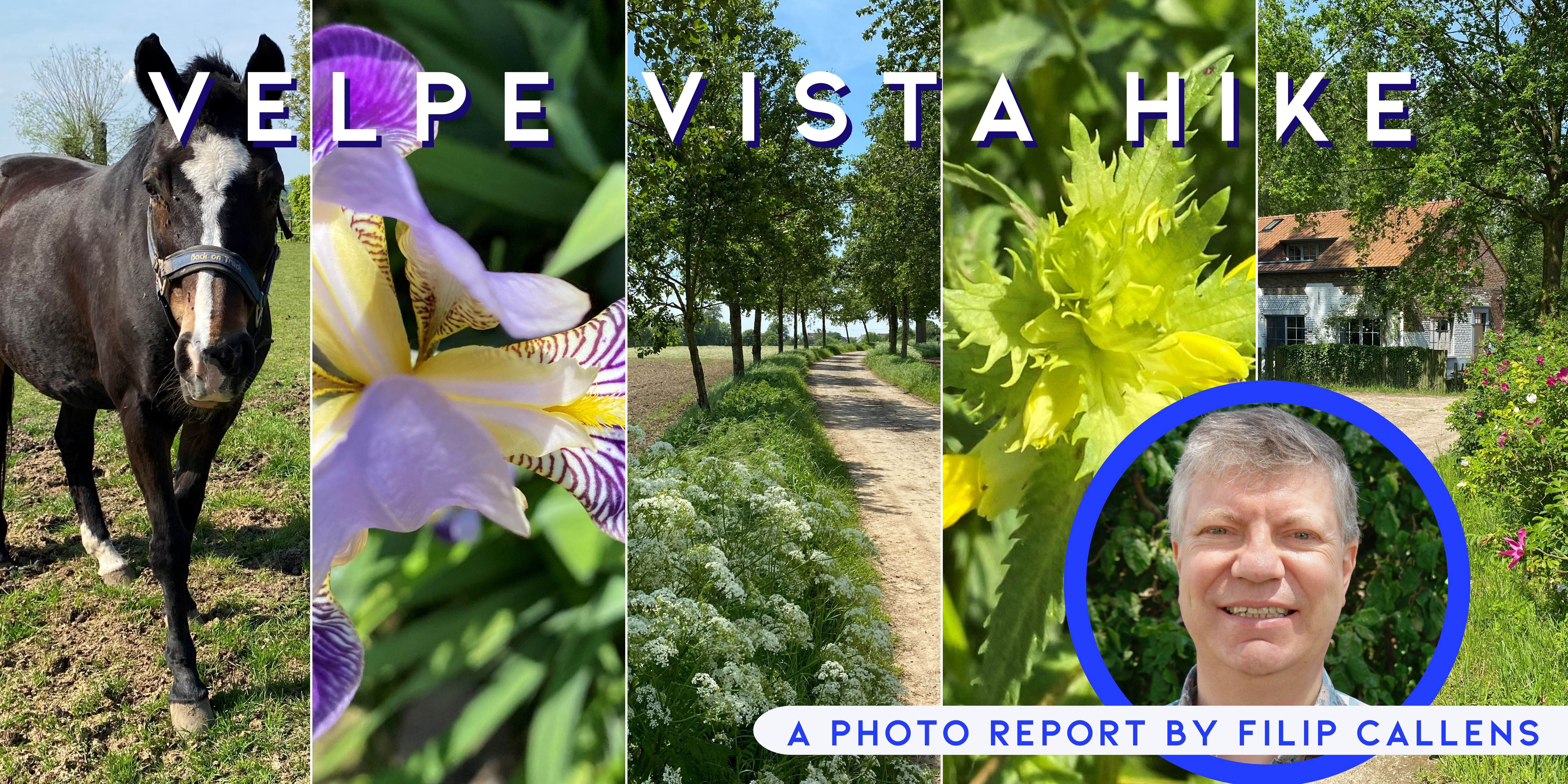 Fotoverslag van de Velpevergezichtwandeling (8,9 km) 2024.05.11