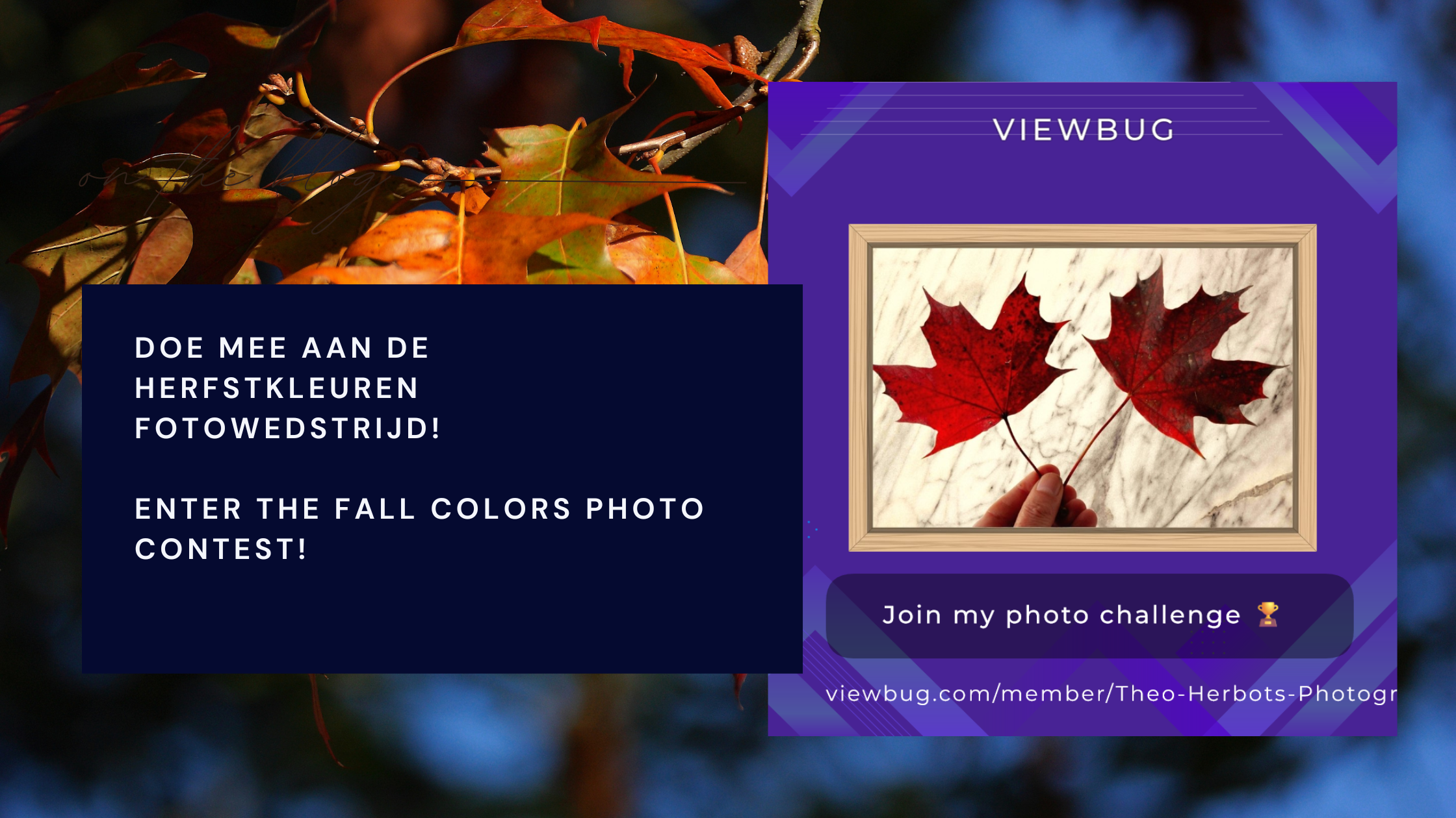 Doe mee aan de Herfstkleuren Fotowedstrijd! ||Enter the Fall Colors Photo Contest!