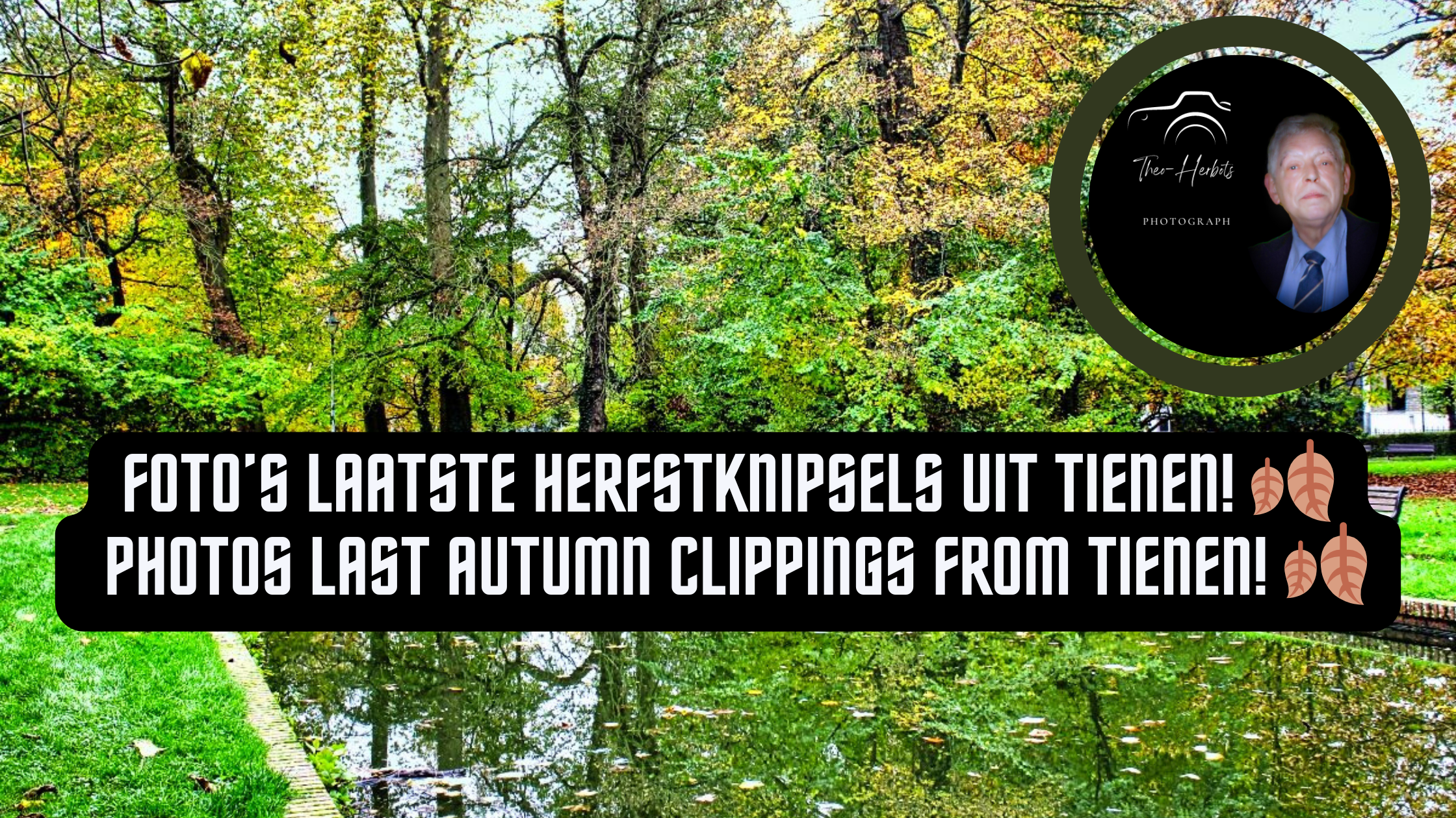 Foto’s Laatste herfstknipsels uit Tienen! ||Photos Last autumn clippings from Tienen!