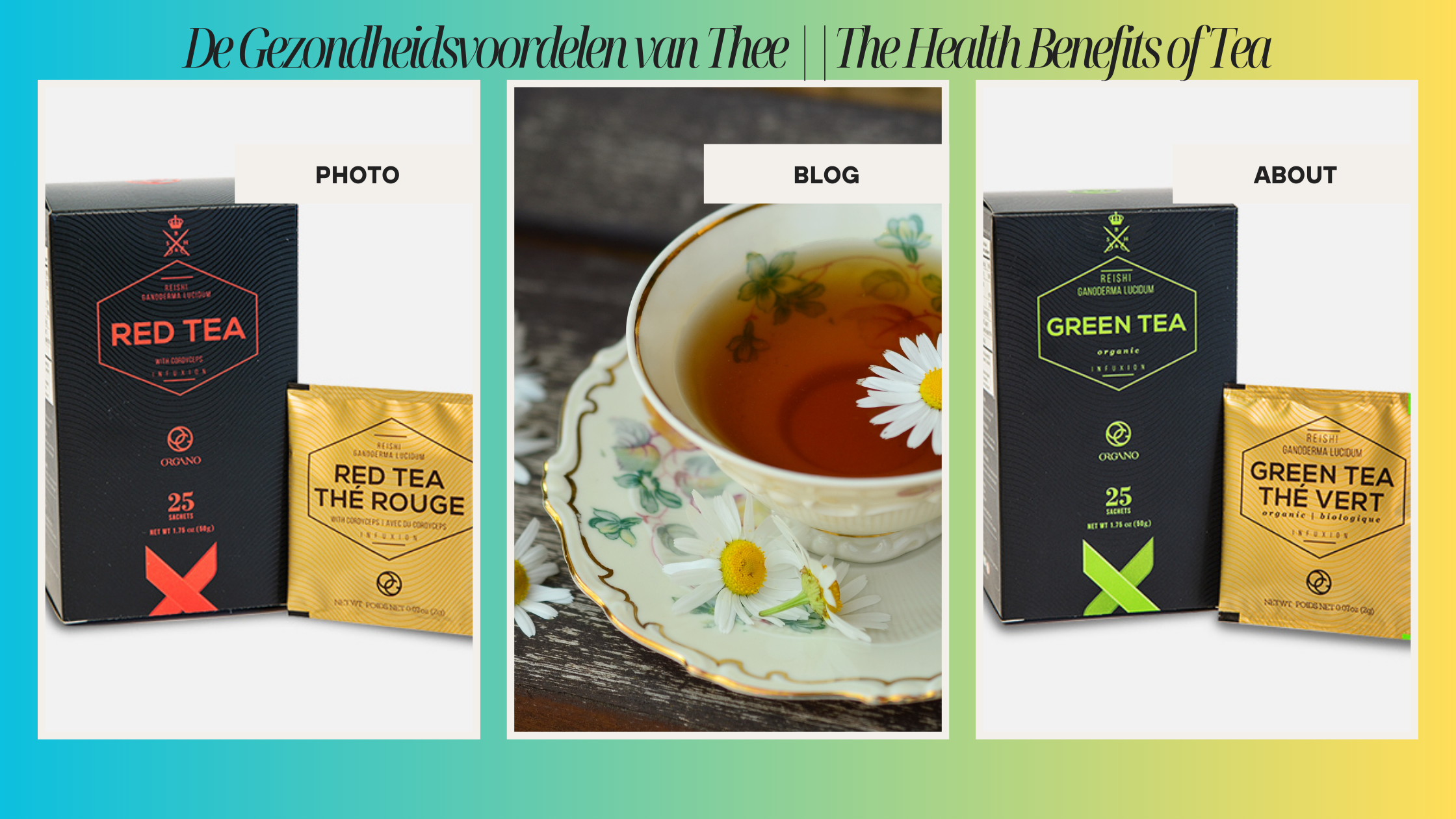 De Gezondheidsvoordelen van Thee: Ontdek Soorten en Bereidingswijzen || The Health Benefits of Tea: Discover Types and Methods of Preparation