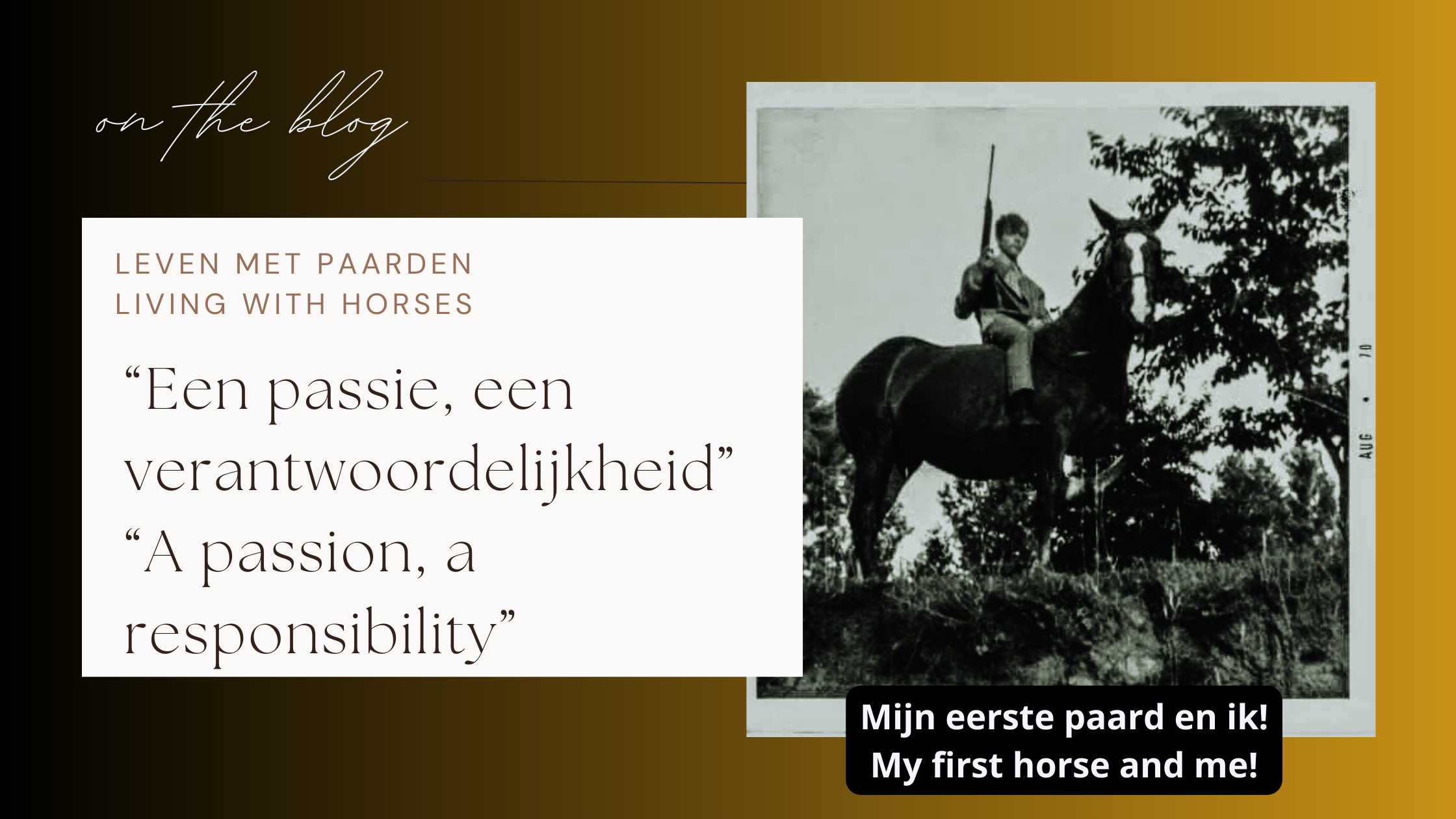 “Leven met paarden: Een passie, een verantwoordelijkheid” ||Living with horses: A passion, a responsibility