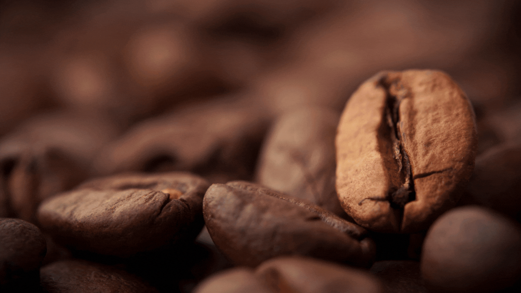 “Meer dan een kopje koffie: Gezondheid in elke slok” || More than a cup of coffee: Health in every sip “Meer dan een kopje koffie: Gezondheid in elke slok” || More than a cup of coffee: Health in every sip